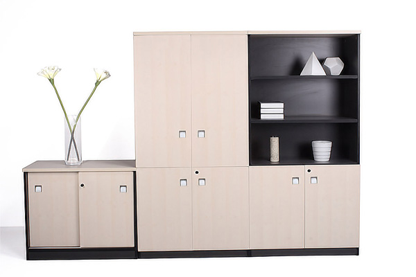 南京鋼制文件柜廠家教你鋼制文件柜如何選，尺寸及價格一般多少